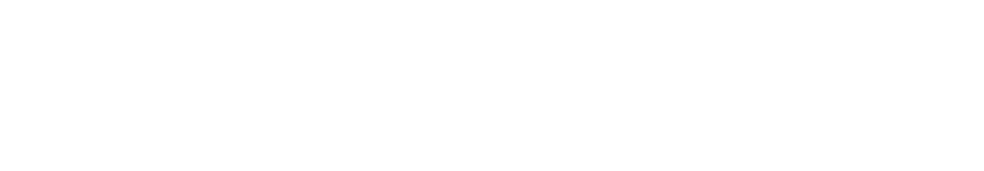 F.S.V. In Fiscalibus